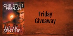 Friday Giveaway: Dark Sentinel by Christine Feehan