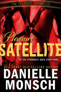 Pleasure Satellite by Danielle Monsch