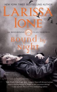 Review:  Bound by Night by Larissa Ione