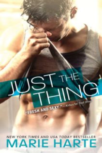 Review:  Just the Thing by Marie Harte