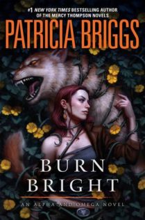 Review:  Burn Bright by Patricia Briggs