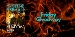 Friday Giveaway:  Shadow Fire by Christine Feehan