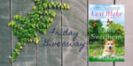 Friday Giveaway:  Bayou Sweetheart by Lexi Blake